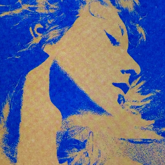 Taylor Swift The Eras Tour VIP 4-Print Set Pop Art Posters Complete w/Envelope - Picture 8 of 13